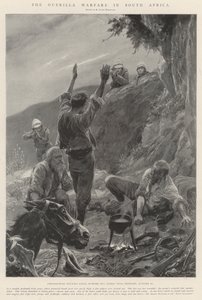 南アフリカのゲリラ戦